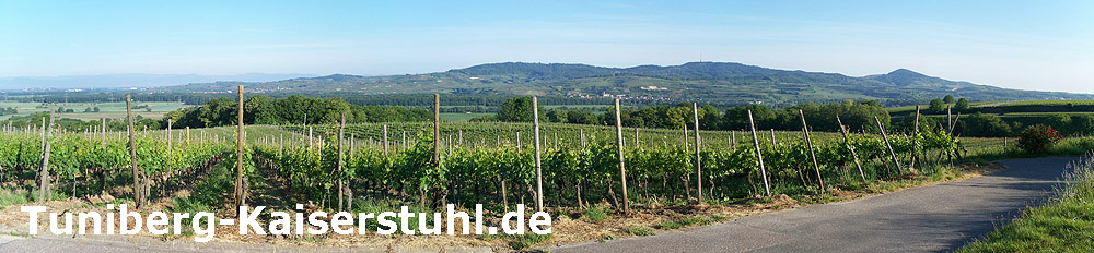 Tuniberg-Kaiserstuhl