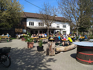 Griestal Strauße Strauße
