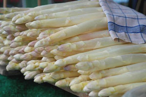 Spargel