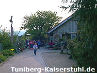 Strauße uf´m Buck Strauße