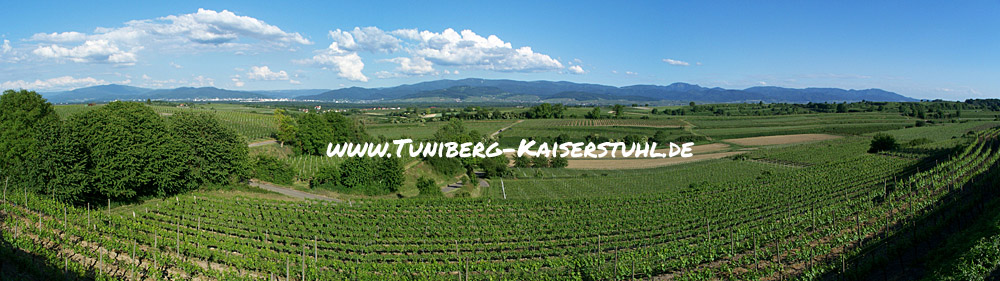 Tuniberg-Kaiserstuhl